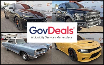 Sierra Auction Inventory on GovDeals